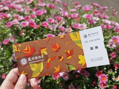 -昆明植物园