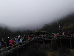 -黄龙山原始森林景区