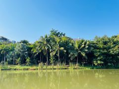 -中国科学院西双版纳热带植物园