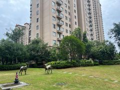 -中南·世纪锦城