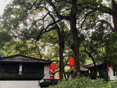 -杭州黄龙洞