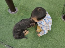 -萌宠亲子动物乐园(槐房万达店)