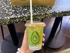 -油梨树AVOCADO TREE(顺义新国展店)
