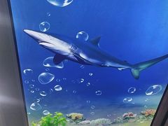 -日照大牌檔•小船海鲜(万平口店)