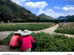 -广州市石门国家森林公园