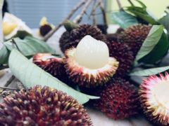 带刺的荔枝-新峰肉骨茶