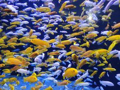 -成都浩海立方海洋公园