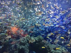 -成都浩海立方海洋公园