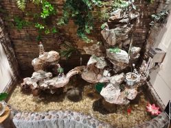 -伽美医疗美容医院·高端抗衰中心