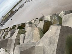 -南汇嘴观海公园