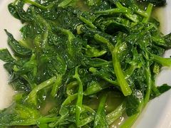 -拈菜(观音桥阳光世纪店)