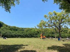 -苏州上方山国家森林公园