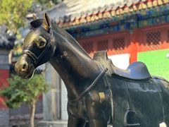 -白云观