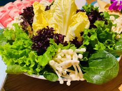 -青瓷火锅料理(西单大悦城店)