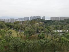 -飞凤山奥体公园