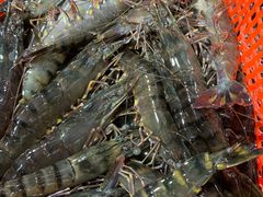 -鸿港海鲜批发市场