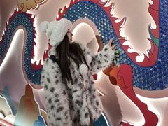 -郑州方特梦幻王国