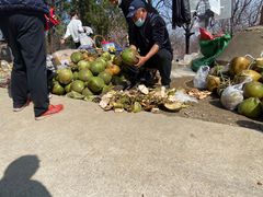 -阳台山自然风景区