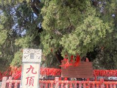 -四门塔风景区
