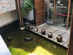-几荷·恰似故人来(秀水广场店)