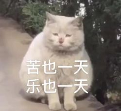 点击看大图 -秦·专注剪发