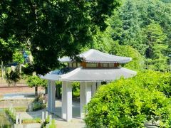 -贵州省植物园