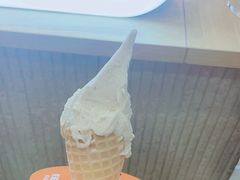 -野人先生现做冰淇淋(西安赛格店)