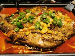 海鲈鱼-炉鱼(萧山万象汇店)