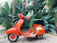 -大连森林动物园