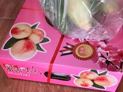 -南汇新场正宗水蜜桃采摘