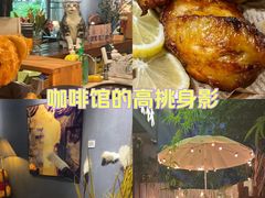 -咖法森林·咖啡  酒吧(天河店)