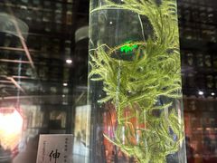 -广东中医药博物馆