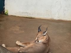 -云南野生动物园
