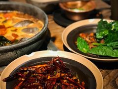 -毛辣果·酸(OHA复兴西路店)