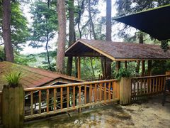 -生态园山庄(森林公园店)