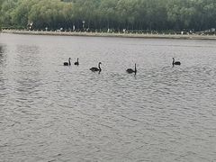 -长春世界雕塑园冰雪艺术天地