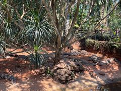 -海南热带野生动植物园