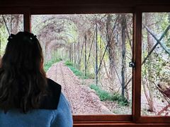 -合肥滨湖国家森林公园