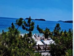 -黑石礁酒楼·海鲜(黑石礁店)