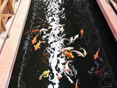 -侠成水上农庄(工业大道店)