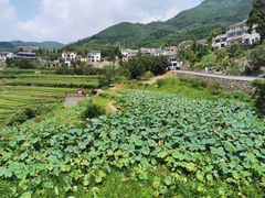 -太湖源风景区