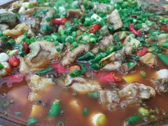 红烧大口鲶-刘土鸡家常菜