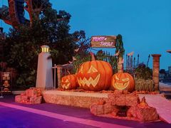 -太空堡垒 双轨过山车