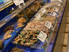 水产区-高佳庄·舟山海鲜(海景旗舰店)