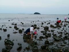 android_upload_pic-叉叉纳里客栈(珠海情侣路唐家湾沙滩店)