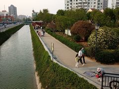 -马濠公园