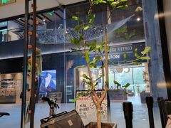 -Seesaw Coffee(上海尚悦湾店)