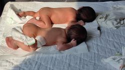 -海豚湾高端月子会所(黄浦店)