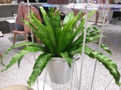-奈雪的茶(湖滨银泰in77C区PRO店)