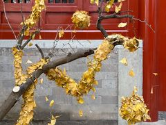 -承恩寺